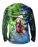 Dachshund In Forest