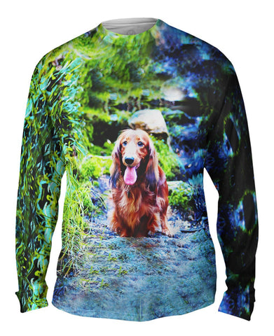 Dachshund In Forest