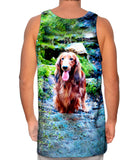 Dachshund In Forest