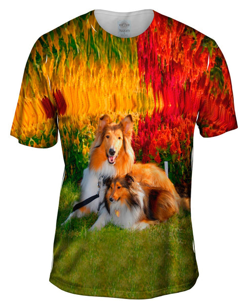 Clever Sitting Collies Mens T-Shirt