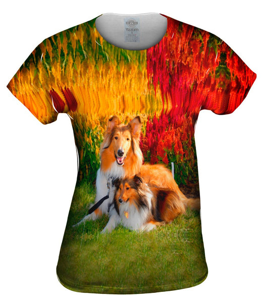 Clever Sitting Collies Womens Top