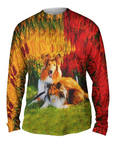 Clever Sitting Collies