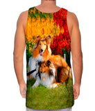 Clever Sitting Collies