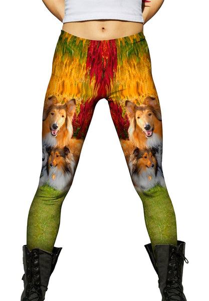 Clever Sitting Collies Womens Leggings