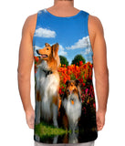 Furry Collie