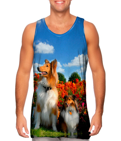 Furry Collie