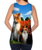 Furry Collie
