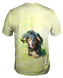 Dashing Dachshund