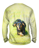 Dashing Dachshund
