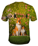 Summer Collie