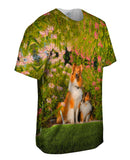 Summer Collie