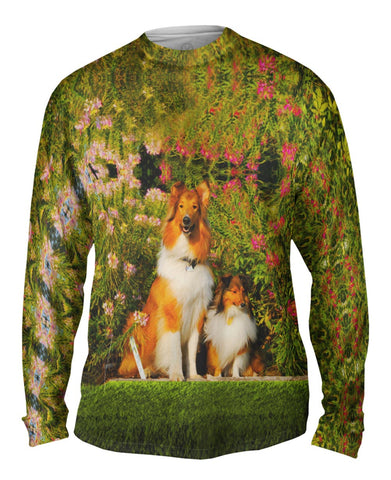 Summer Collie