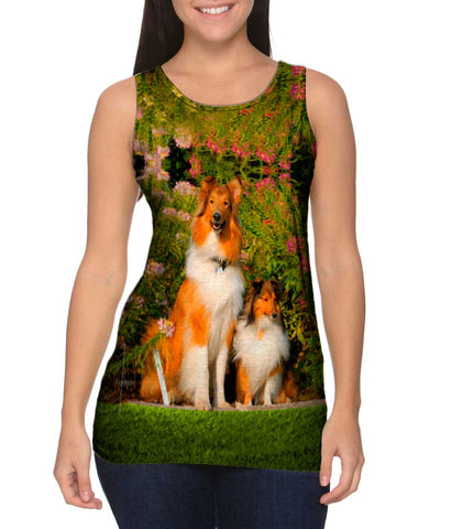 Summer Collie