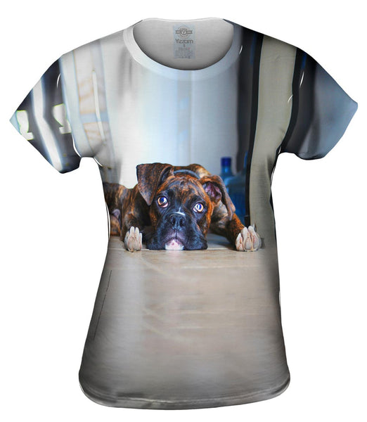 Gentle Boxer At Rest Womens Top