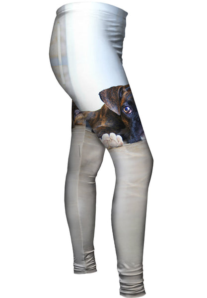 Gentle Boxer At Rest&nbsp;Womens Leggings