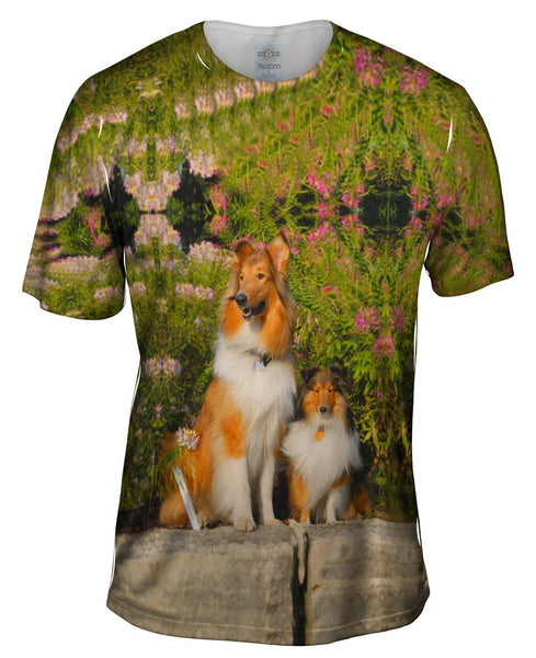 Flowerbeds Collies Mens T-Shirt