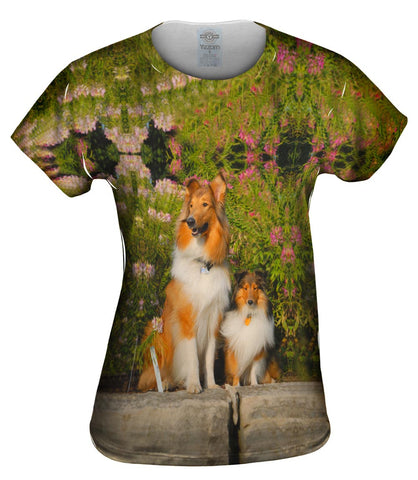 Flowerbeds Collies