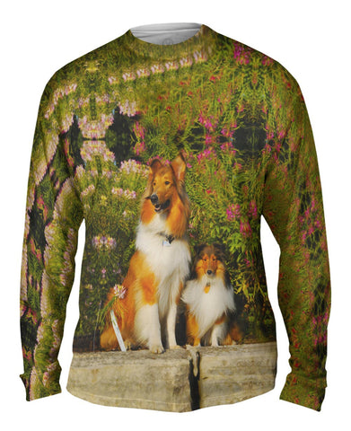 Flowerbeds Collies