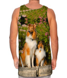 Flowerbeds Collies