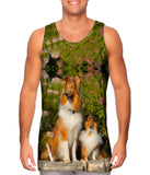 Flowerbeds Collies