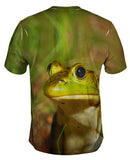 Lively Bull Frog