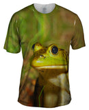 Lively Bull Frog