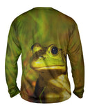 Lively Bull Frog