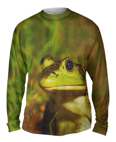 Lively Bull Frog