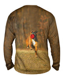 Lively Boxer And Red Ball