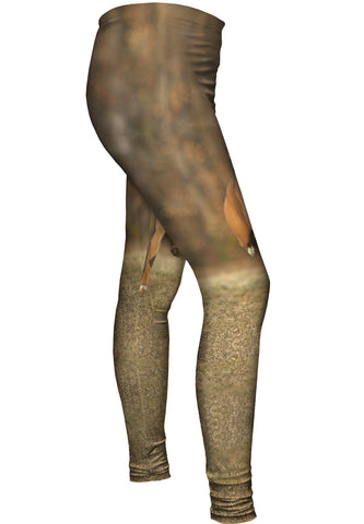 Lively Boxer And Red Ball