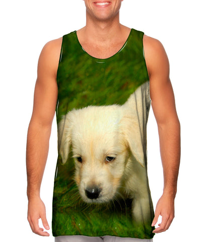 Dreamy Little Retriever