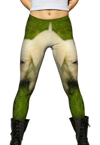 Dreamy Little Retriever