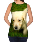 Dreamy Little Retriever