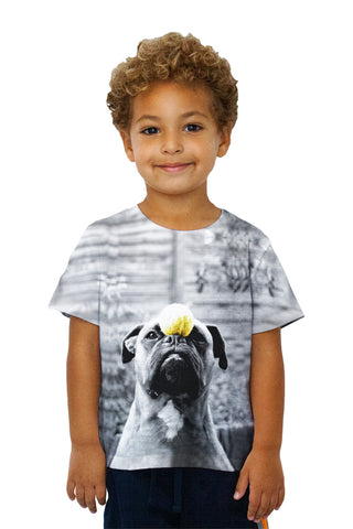 Kids Obedient Boxer