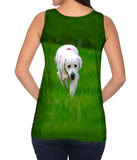 Jolly Retriever