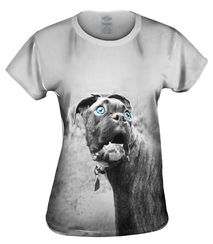 Boxer In Disbelief