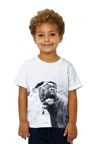 Kids Boxer In Disbelief