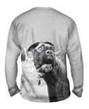 Boxer In Disbelief