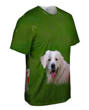 Hungry Retriever