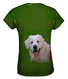 Hungry Retriever