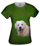 Hungry Retriever