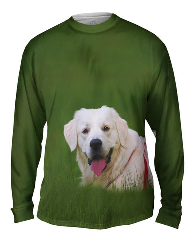 Hungry Retriever