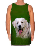 Hungry Retriever