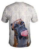 Cynical Boxer