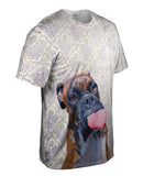 Cynical Boxer