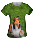 Thirsty Collie