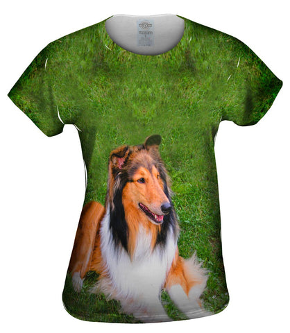 Thirsty Collie