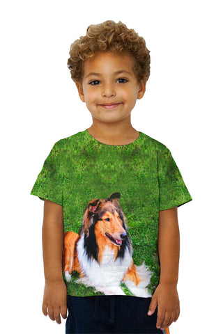 Kids Thirsty Collie