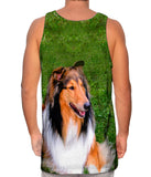 Thirsty Collie