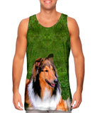 Thirsty Collie